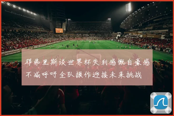 邓弗里斯谈世界杯失利感慨自豪感不减呼吁全队振作迎接未来挑战